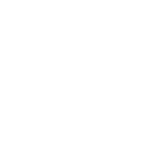 Citi-Trends-white