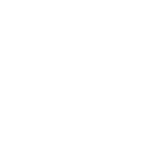 DSW-white