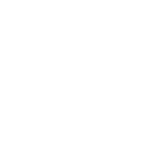 Howard-Wangs-white