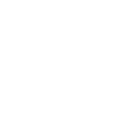 Bushs Chicken