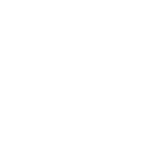 The-Union-Bear-white