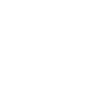WSS Shoes
