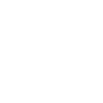 Fiesta-Auto-Insurance-white