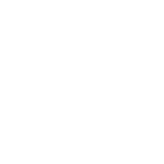 Hollywood-Feed-white