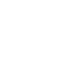 Raytheon-white