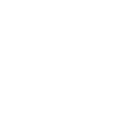 Tuesday Morning